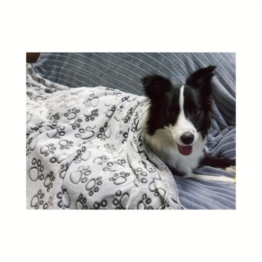 Soft Flannel Fleece Dog Blanket for Small and Medium Pets