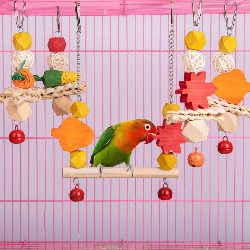 Bird Swing & Chewing Hanging Toy for Parakeets & Cockatiels