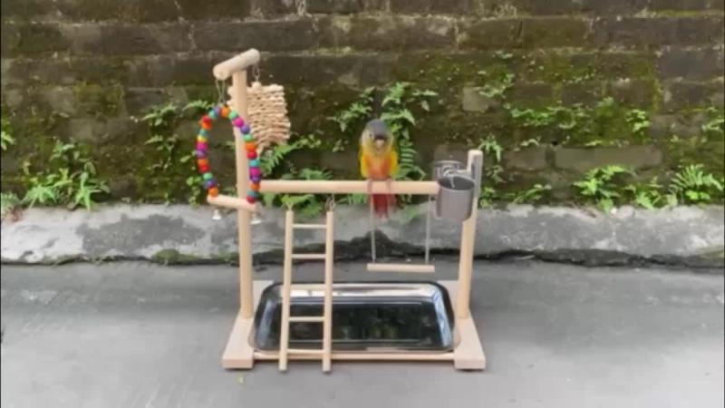 Wood Bird Playground Parrot Perch Play Gym Playpen Perches Ladder Swing Toy