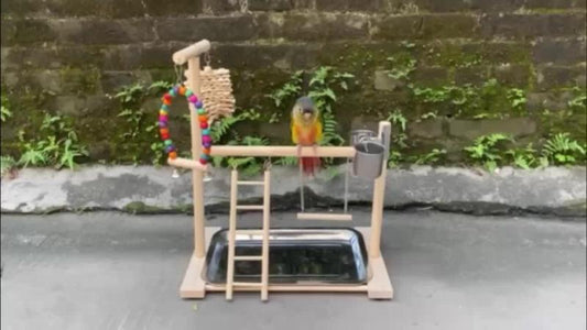 Wood Bird Playground Parrot Perch Play Gym Playpen Perches Ladder Swing Toy