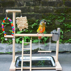 Wood Bird Playground Parrot Perch Play Gym Playpen Perches Ladder Swing Toy