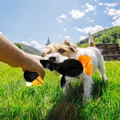 Bird Pet Plush Chew Toy for Dog Teeth Grinding