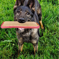 Durable Dog Chew Toy with Dual Handles Assorted Varieties
