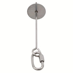 Stainless Steel Food Fork For Bird Vegetable Fruit Feeder Skewer