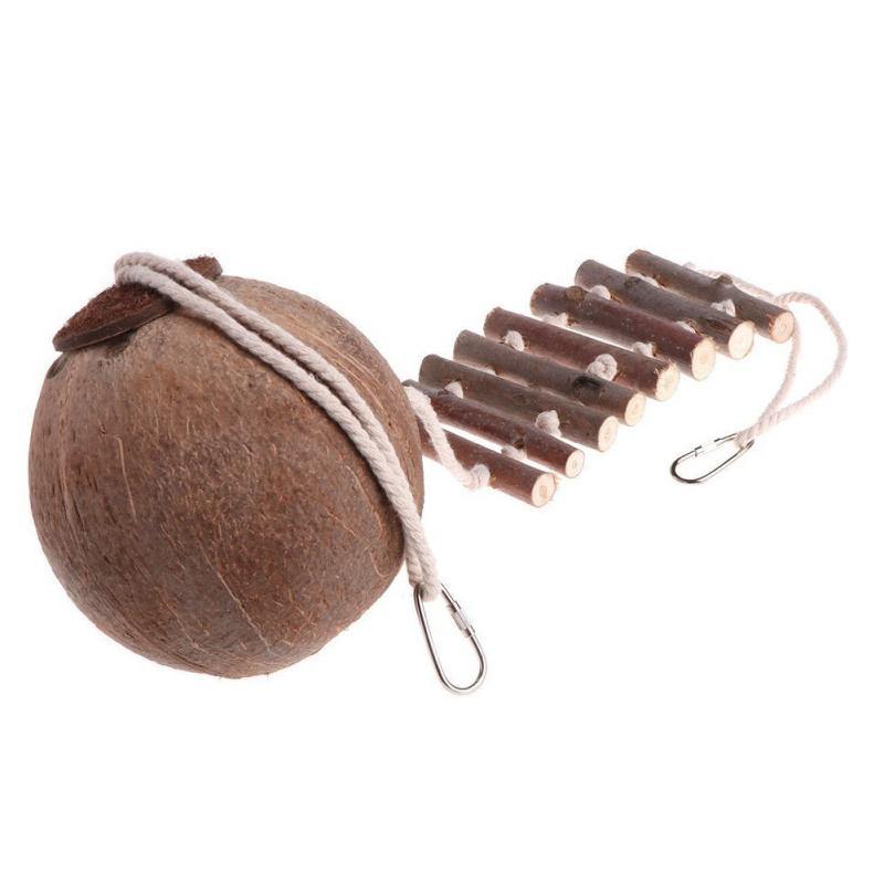 Coconut Shell Parrot Bird Nest Feeder Pets Toy
