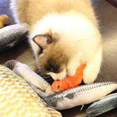 Interactive Pet Plush 3D Fish Cat Toy