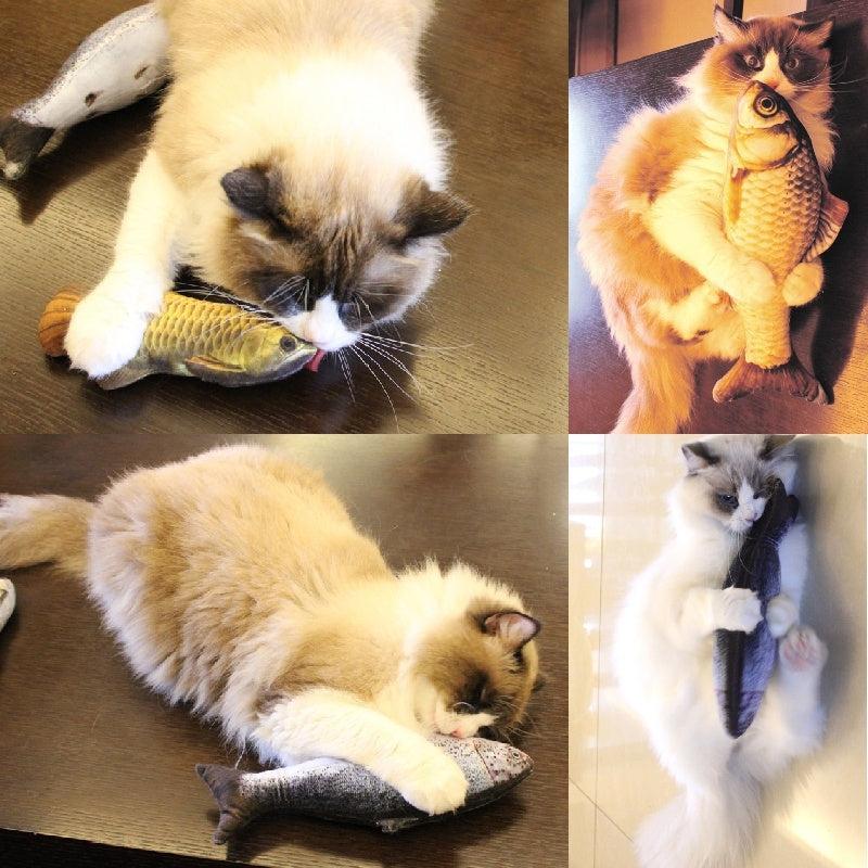 Interactive Pet Plush 3D Fish Cat Toy