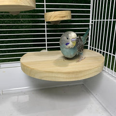 Wood Parrot Bird Perch Stand Platform Cage Accessory for Small Animals and Birds