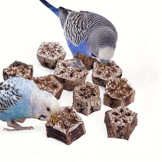 10pcs Parrot Bites Fruit Toys, Natural Material, Home Decoration