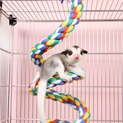 Double Layer Clamp Hammock & Sugar Glider Climbing Toy