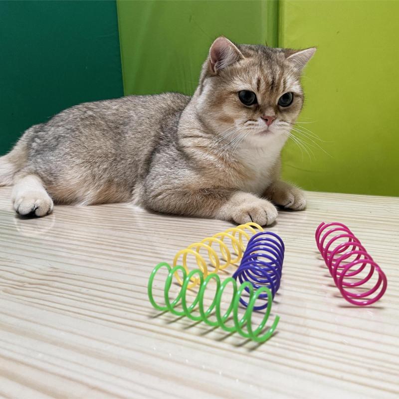 Interactive Colorful Spring Cat Toys for Playful Kittens