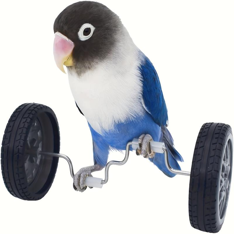 Training Parrot Bird Toy for Bird Balancing