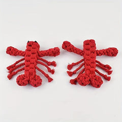 Braided Dog Chew Toy for Molar Cleaning & Bite Resistance