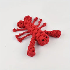 Braided Dog Chew Toy for Molar Cleaning & Bite Resistance