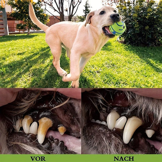 Durable Dog Ball Toy for Grinding Teeth and Interactive Play with Sound