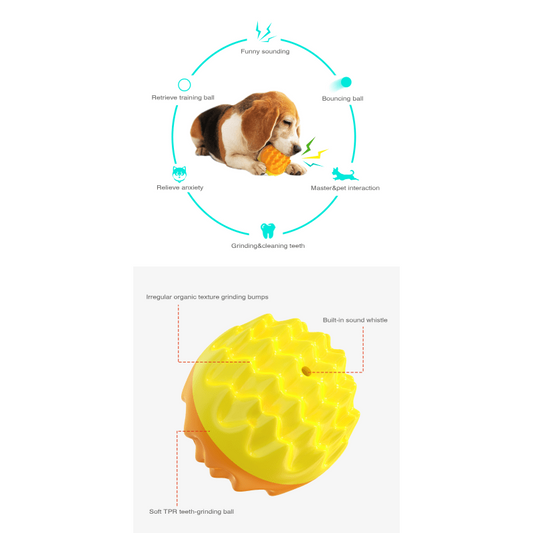 Dog Durable Crew Ball Toy Pet Grinding Teeth Elastic Toy