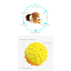 Dog Durable Crew Ball Toy Pet Grinding Teeth Elastic Toy