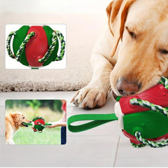 Interactive Dog Toy Ball Bite Resistant Tough Rubber Football Toy