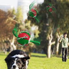 Interactive Dog Toy Ball Bite Resistant Tough Rubber Football Toy
