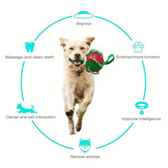 Interactive Dog Toy Ball Bite Resistant Tough Rubber Football Toy