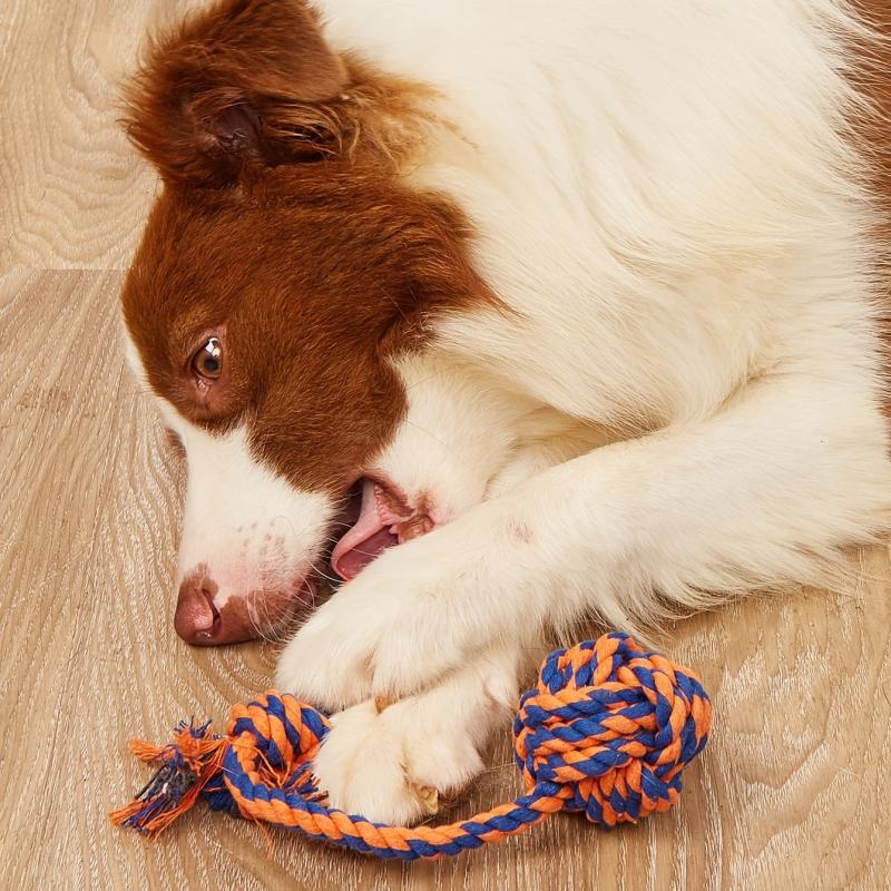 Interactive Dog Cat Chew Toy Durable Knot Toy for Aggressive Chewers