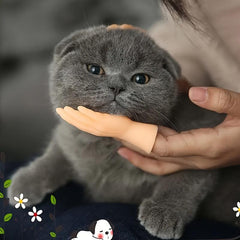 Indoor Cat Finger Cover Toy Tiny Finger Hands Little Massage Hand