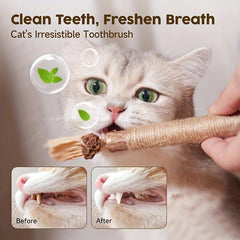 Silver Vine Sticks Cat Toy for Teeth Cleaning & Teething
