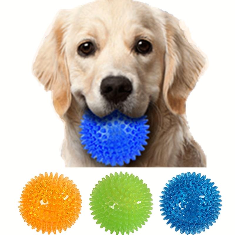 Interactive Dog Chew Toy Fun Training & Teeth Cleaning Random Ball