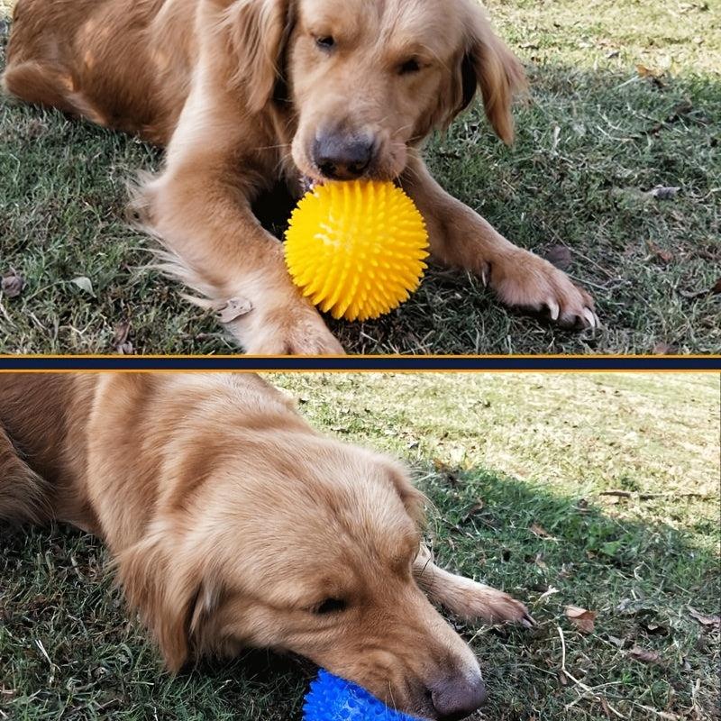 Durable TPR Puppy Chewing Toy for Molar Cleaning & Play