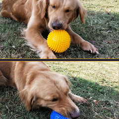 Durable TPR Puppy Chewing Toy for Molar Cleaning & Play