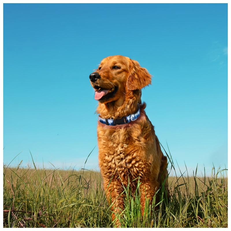 Soft Adjustable Dog Collar for Small and Medium Dogs - Comfortable