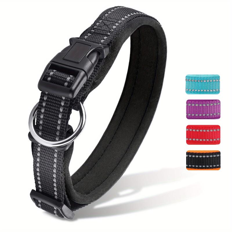Durable Nylon Dog Collar for Daily Walks and Training Sessions