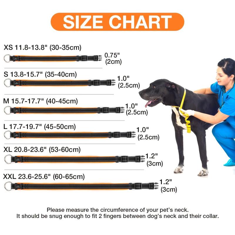 Durable Nylon Dog Collar for Daily Walks and Training Sessions