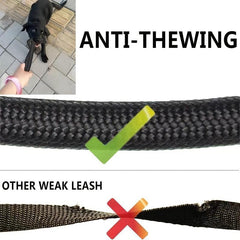 Pet Way Leash for Walking Multiple Dogs Elastic Straps Tangle Comfortable Handle