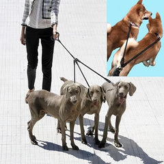 Pet Way Leash for Walking Multiple Dogs Elastic Straps Tangle Comfortable Handle