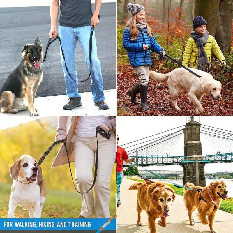 Reflective Dog Leash with Dual Handles - Medium/Large Dogs