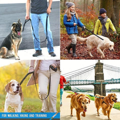 Reflective Dog Leash with Dual Handles - Medium/Large Dogs