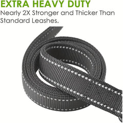 Reflective Dog Leash with Dual Handles - Medium/Large Dogs