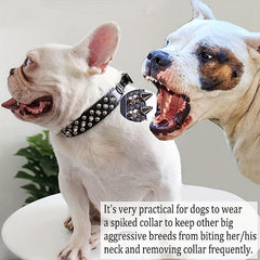 Spiked Dog Collar with Mushrooms Rivet & Spikes, Adjustable & Durable