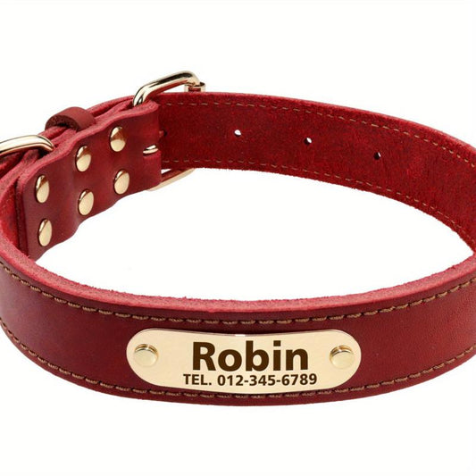 Personalized Leather Dog Collar, Padded, Rust Proof