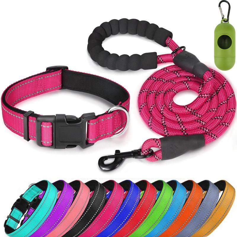 Reflective Pet Leash & Collar Set for Dogs - Adjustable Nylon Collar