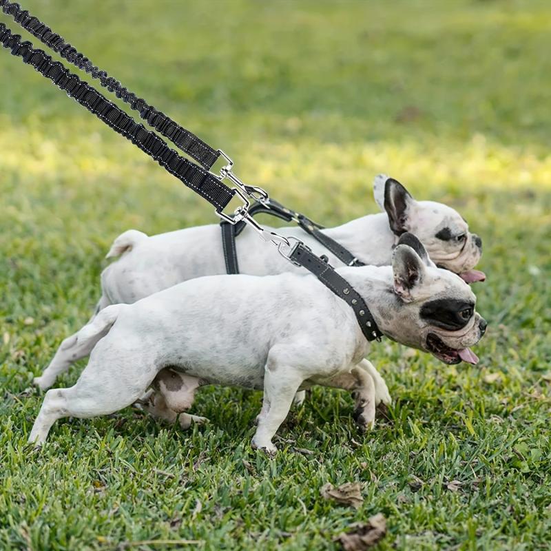 Dual Dog Leash 360 Swivel Rotation No Tangle Splitter Adjustable Length Buckle