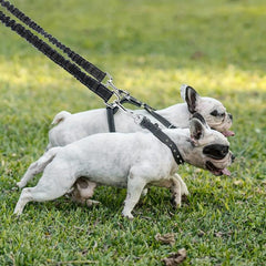 Dual Dog Leash 360 Swivel Rotation No Tangle Splitter Adjustable Length Buckle