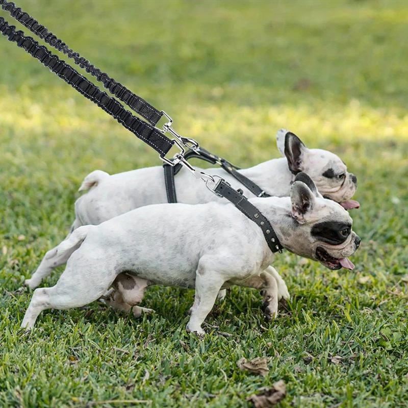Dual Dog Leash 360 Swivel Rotation No Tangle Splitter Adjustable Length Buckle