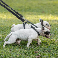 Dual Dog Leash 360 Swivel Rotation No Tangle Splitter Adjustable Length Buckle