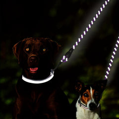 Taglory Reflective Dual Dog Leash for Small Dogs