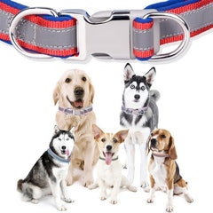 Reflective Pet Collar for Dogs and Cats - Sparkle and Shine