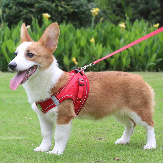 Reflective Pet Harness and Leash Set for Dogs and Cats - Breathable Mesh
