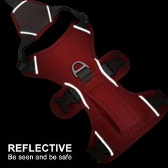Reflective Waterproof Dog Harness for Small &Medium Dogs