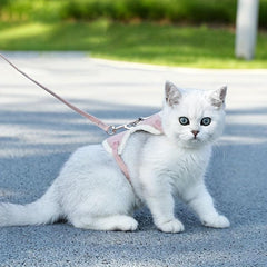 Reflective No Pull Dog Harness and Leash Set for Small Dogs